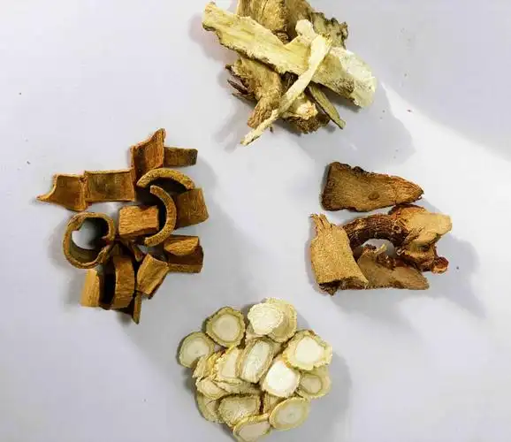 流行性腮腺炎中药方剂